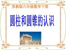 蘇教版六年下《圓柱和圓錐的認識》3.ppt