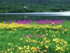 和我們一樣享受春天