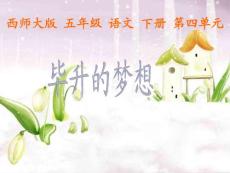 西師大版小學語文五年級下冊 畢升的夢想課件