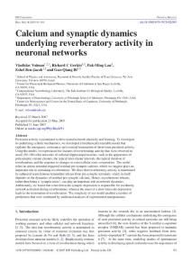 Calcium and synaptic dynamics underlyi - 中國科學