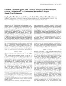 Calcium Channel Types with Distinct Presynaptic Localization