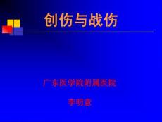 創(chuàng)傷與戰(zhàn)傷,李明意