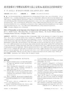 曲美他嗪對2型糖尿病模型大鼠心室肌Ito通道表達的影響研究