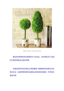 #生活小技巧#居室中仿真花、干花的保養技巧