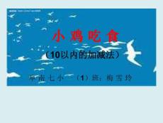 優質課 小雞吃食