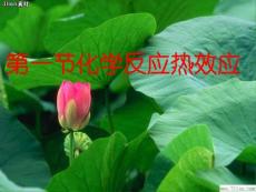 第一節化學反應熱