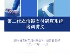 二代農(nóng)信銀培訓(xùn)講義