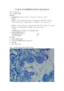 甲苯胺藍-索倫森磷酸緩沖液胃幽門螺桿菌染色法