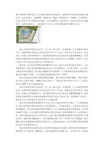 泰山方特歡樂世界