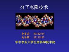 分子克隆技术2005