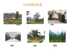 西北農(nóng)林科大--園林藝術(shù)景觀設(shè)計(jì)二