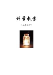 科學教案【共享精品-doc】