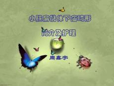 　小脑扁桃体下疝畸形