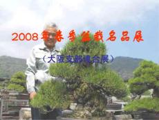 2008年春季盆栽名品展