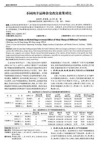 不同肉羊品种杂交改良效果对比