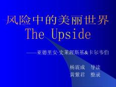 風(fēng)險(xiǎn)中的美麗世界2008[1].11.20