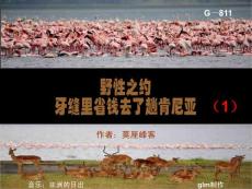 野性之約－肯尼亞1