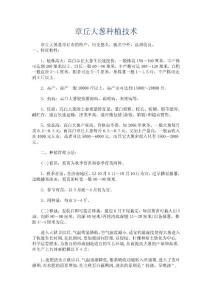 章丘大蔥種植技術