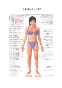 人體穴位大全
