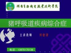 呼吸道疾病2010.3.ppt