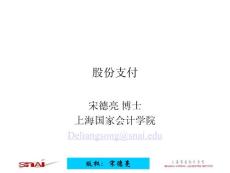 版權(quán)宋德亮 股份支付