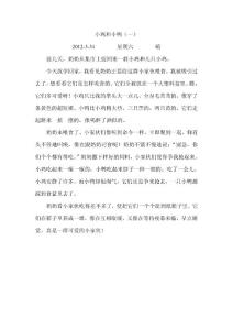 子言日记9小鸡和小鸭（一）.　