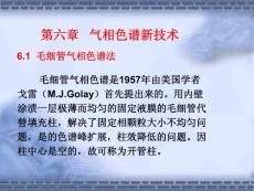 第六章氣相色譜新技術