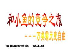 溫州實驗中學(xué) 林小敏