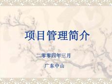 项目管理简介