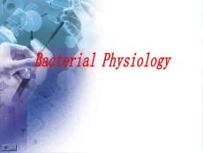3、細(xì)菌的生理