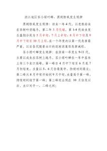 茶小綠葉蟬、黑刺粉虱發(fā)生規(guī)律