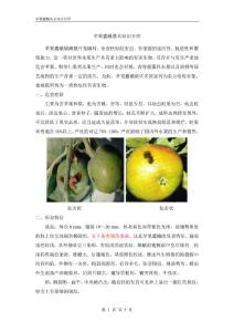 蘋果蠹蛾基本知識介紹