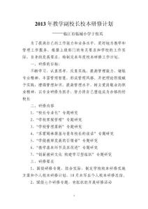 2013年教学副校长校本研修计划