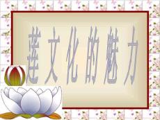 蓮的魅力