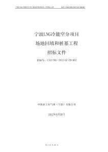 冷能空分項目招標文件(場平和樁基)