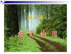 攝影構(gòu)圖 王宇