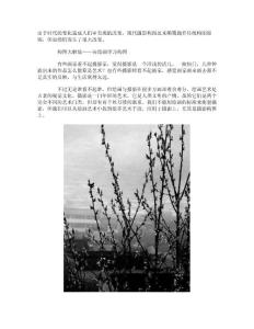 攝影構(gòu)圖技巧(1)