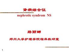 肾病综合征