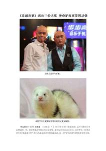 《非诚勿扰》送出三份大奖 神奇驴肉再发挥功效