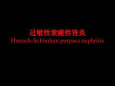 过敏性紫癜性肾炎