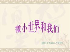 教科版小學科學六年級下冊第一單元《微小世界和我們》PPT課件