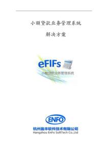 杭州盈豐小額貸款業務管理系統解決方案