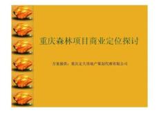 重慶森林項目商業(yè)定位探討