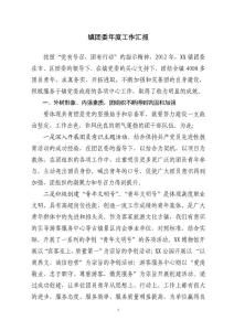 鎮(zhèn)團(tuán)委年度工作匯報