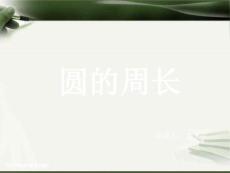 圆的周长说课课件金文文