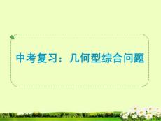 中考復(fù)習(xí)： 幾何型綜合問題