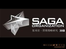 營銷策略研究