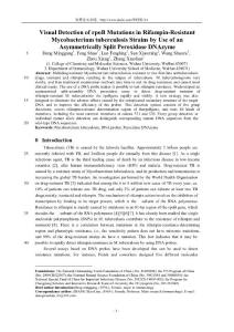 【W(wǎng)ORD論文】VISUAL DETECTION OF RPOB MUTATIONS IN RIFAMPIN-RESISTANT MYCOBACTERIUM TUBERCULOSIS STRAINS BY USE OF AN ASYMMETRICALLY SPLIT PEROXIDASE DNAZYME