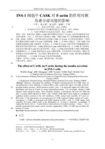 【W(wǎng)ORD論文】INS-1 細(xì)胞中 CASK 對(duì) F-ACTIN 的作用對(duì)胰