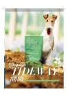 名犬潮流《名犬》2013年6月